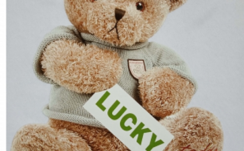 恒升烫画推出新产品——超柔烫画